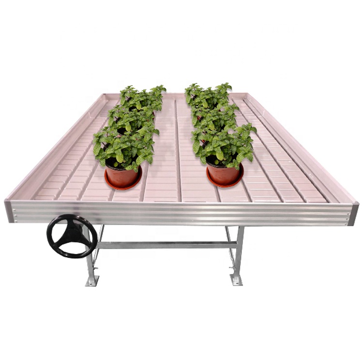 Sistem Hidroponik Rumah Kaca d - Flood Tray Table ulasan dan harga
